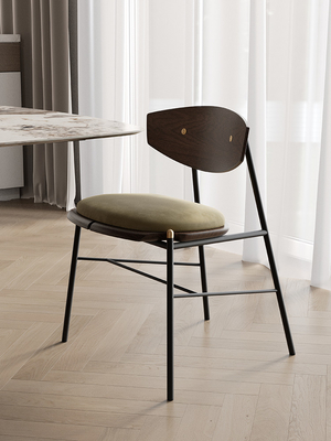 Fireproof Ultra Modern Dining Chairs Wooden Back In Family Living Room